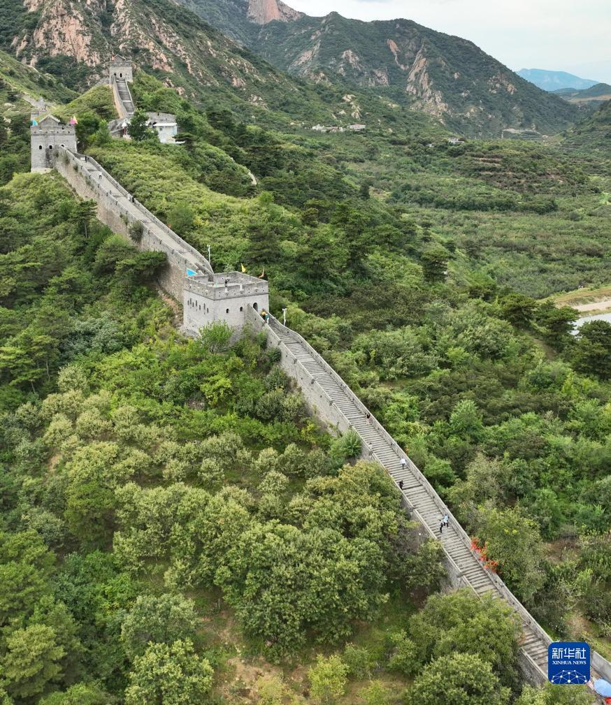 葡萄游戏厅下载